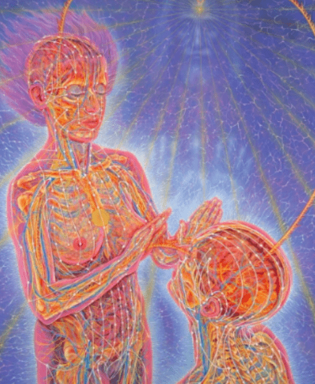 Terapia Taquiones Online.